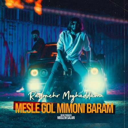 Radmehr Moghaddam – Mesle Gol Mimooni Baram